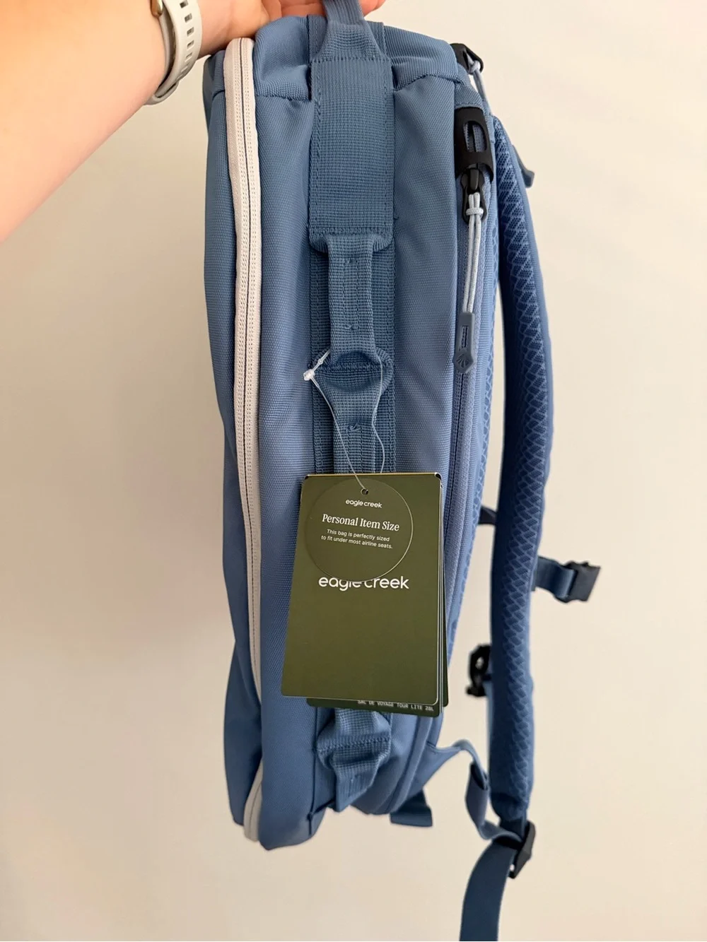 Eagle Creek Blue Everyday Backpack